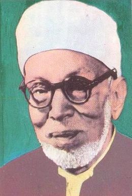 صورة المؤلف محمد الخضر حسين